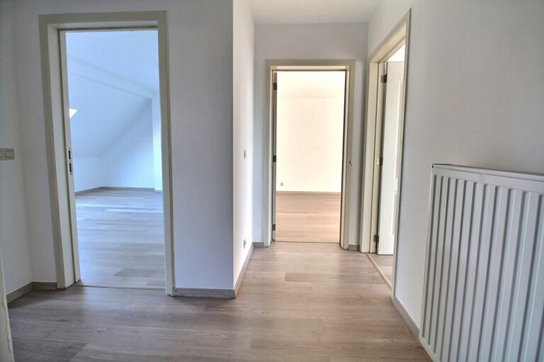 7326312_74766242.jpg